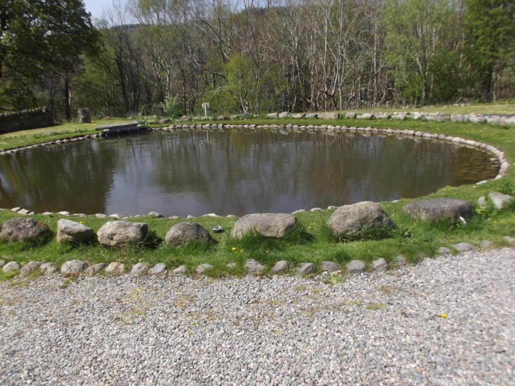 Cosy Ground Floor Disabled Friendly Room In Farm House Llandderfel Exteriör bild