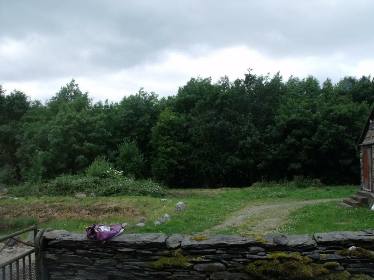 Cosy Ground Floor Disabled Friendly Room In Farm House Llandderfel Exteriör bild