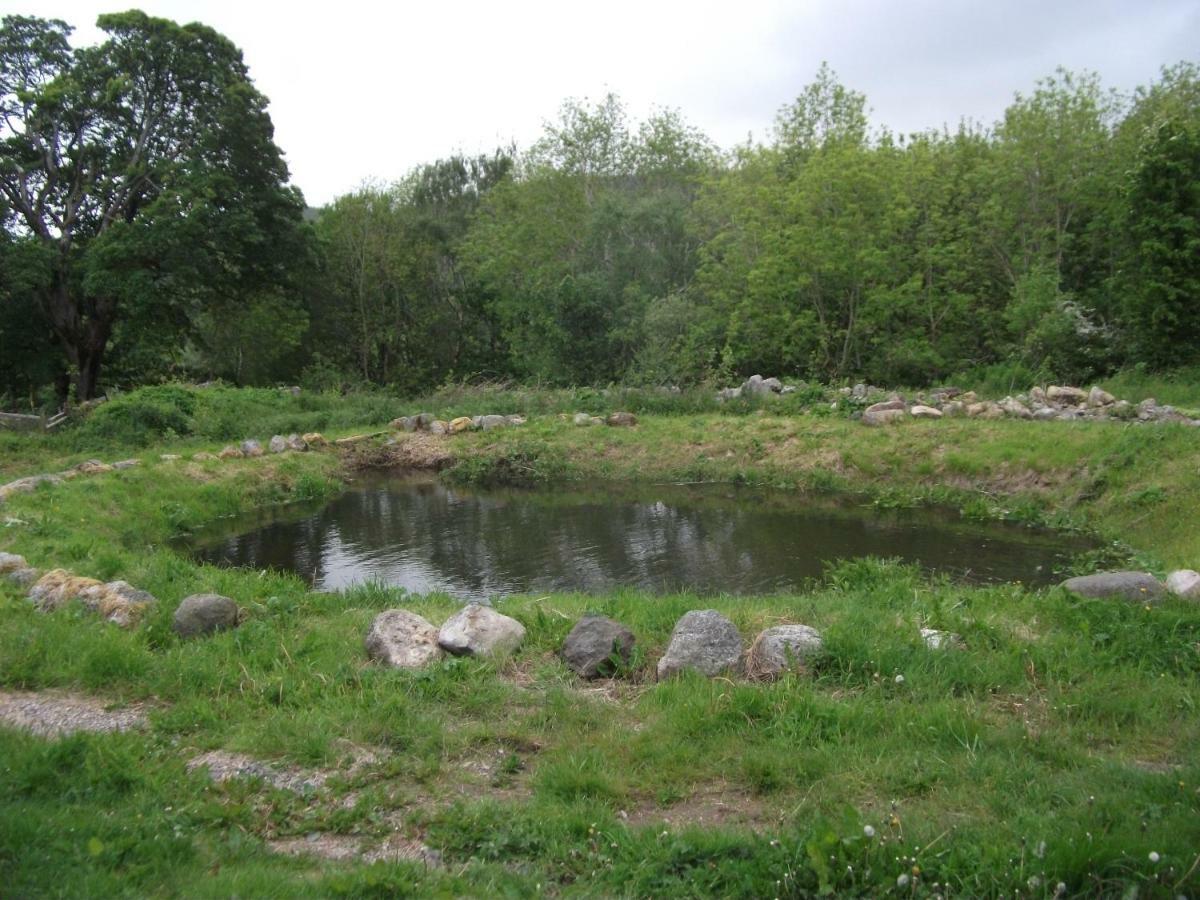 Cosy Ground Floor Disabled Friendly Room In Farm House Llandderfel Exteriör bild